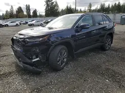 4T3D6RFV8RU171174 2024 TOYOTA RAV 4