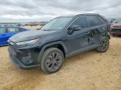 4T3D6RFV9NU067173 2022 TOYOTA RAV 4