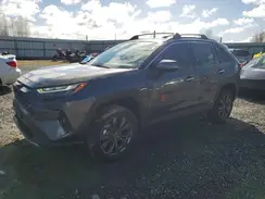 4T3D6RFV9NU083096 2022 TOYOTA RAV 4