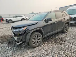 4T3D6RFV9PU134910 2023 TOYOTA RAV 4