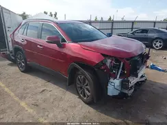 4T3D6RFV9RU175797 2024 TOYOTA RAV 4