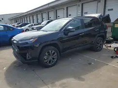 4T3D6RFVXPU130252 2023 TOYOTA RAV 4