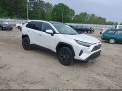 4T3D6RFVXRU163559 2024 TOYOTA RAV 4
