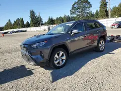 4T3DWRFV2LU007944 2020 TOYOTA RAV 4