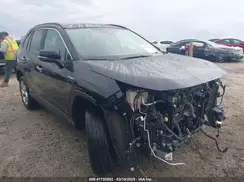 4T3DWRFV3LU007189 2020 TOYOTA RAV 4