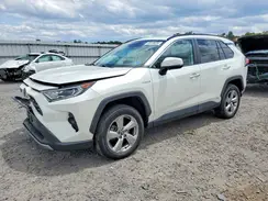 4T3DWRFV6LU005534 2020 TOYOTA RAV 4