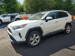 4T3DWRFV7LU006076 2020 TOYOTA RAV 4