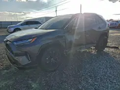 4T3E6RFV0PU118146 2023 TOYOTA RAV 4