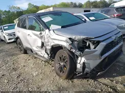4T3E6RFV1RU162692 2024 TOYOTA RAV 4