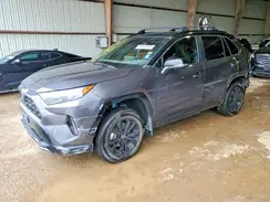 4T3E6RFV2RU163026 2024 TOYOTA RAV 4