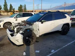 4T3E6RFV2RU171434 2024 TOYOTA RAV 4