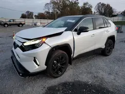 4T3E6RFV2RU174804 2024 TOYOTA RAV 4