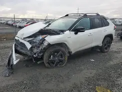 4T3E6RFV3MU031966 2021 TOYOTA RAV 4