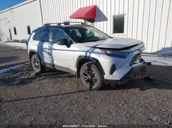 4T3E6RFV5RU164736 2024 TOYOTA RAV 4