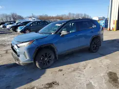 4T3E6RFV6PU131547 2023 TOYOTA RAV 4