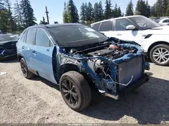 4T3E6RFV7RU150823 2024 TOYOTA RAV 4