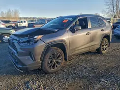 4T3E6RFV7RU150918 2024 TOYOTA RAV 4