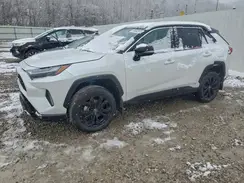 4T3E6RFV7SU184721 2025 TOYOTA RAV 4