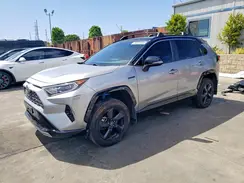 4T3E6RFV8MU007033 2021 TOYOTA RAV 4
