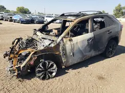 4T3E6RFV8RU142052 2024 TOYOTA RAV 4