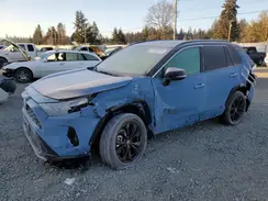 4T3E6RFV8RU142262 2024 TOYOTA RAV 4