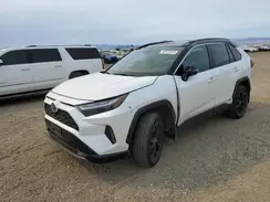 4T3E6RFV8RU145338 2024 TOYOTA RAV 4