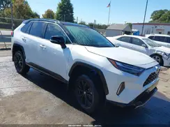 4T3E6RFV8RU166156 2024 TOYOTA RAV 4