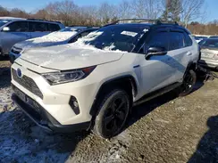4T3E6RFV9MU039229 2021 TOYOTA RAV 4