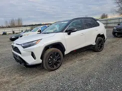 4T3E6RFV9RU152069 2024 TOYOTA RAV 4
