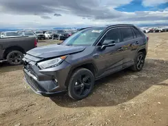 4T3E6RFVXMU008491 2021 TOYOTA RAV 4