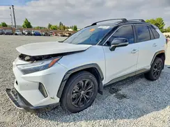 4T3E6RFVXPU106201 2023 TOYOTA RAV 4