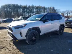4T3E6RFVXRU146247 2024 TOYOTA RAV 4