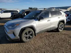 4T3EWRFV2LU001677 2020 TOYOTA RAV 4
