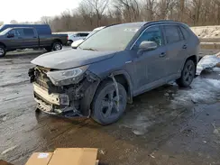 4T3EWRFV2LU003137 2020 TOYOTA RAV 4