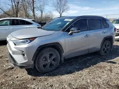 4T3EWRFV8LU007046 2020 TOYOTA RAV 4