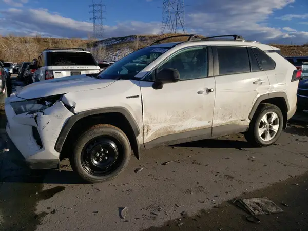 4T3L6RFV0LU004486 2020 TOYOTA RAV 4 - Image 1