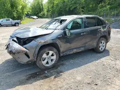 4T3L6RFV4MU009157 2021 TOYOTA RAV 4