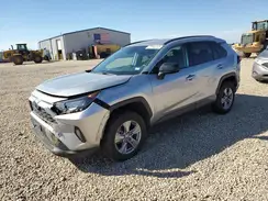 4T3LWRFV0NU062438 2022 TOYOTA RAV 4