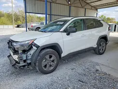 4T3LWRFV0RU131313 2024 TOYOTA RAV 4