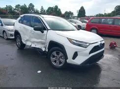 4T3LWRFV0RU161556 2024 TOYOTA RAV 4
