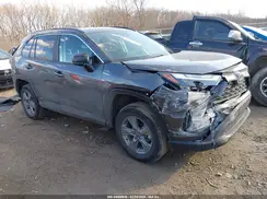 4T3LWRFV0SU211524 2025 TOYOTA RAV 4