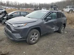 4T3LWRFV1PU106501 2023 TOYOTA RAV 4