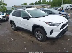 4T3LWRFV1RU138481 2024 TOYOTA RAV 4