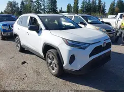 4T3LWRFV1RU138884 2024 TOYOTA RAV 4