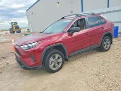 4T3LWRFV1RU145009 2024 TOYOTA RAV 4