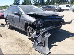 4T3LWRFV1RU148623 2024 TOYOTA RAV 4