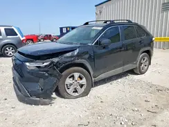 4T3LWRFV1SU177755 2025 TOYOTA RAV 4