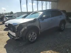 4T3LWRFV1SU183216 2025 TOYOTA RAV 4