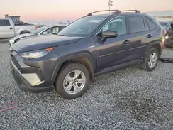 4T3LWRFV2MU037233 2021 TOYOTA RAV 4