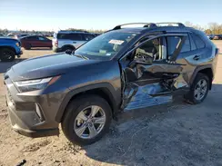 4T3LWRFV2PU099672 2023 TOYOTA RAV 4